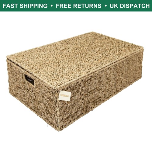 Elegant brown seagrass - elegant,