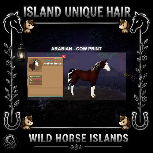 Wild horse islands arabians - wild,