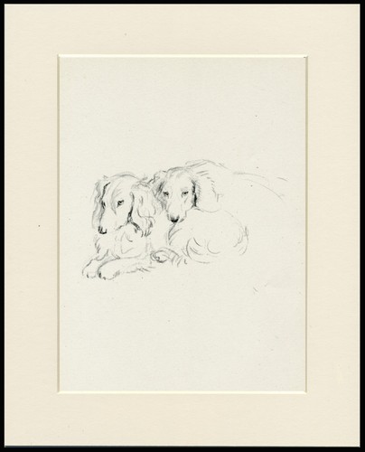 Dachshund long haired vintage - dachshund,