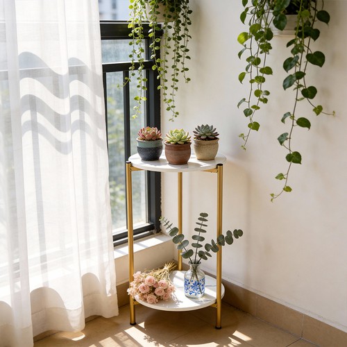 60cm tall plant - 50/60cm,
