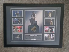 Robbie Williams Reproduction