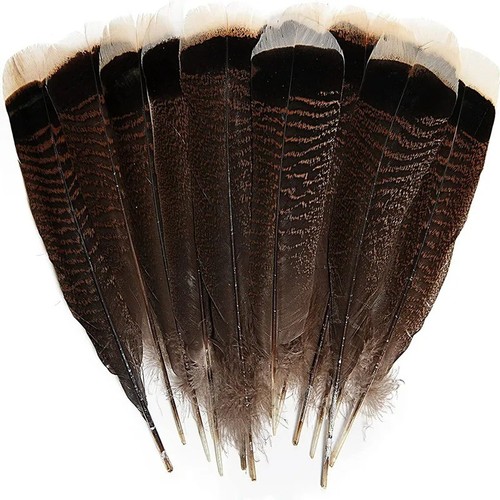 Natural wild turkey tails - natural,