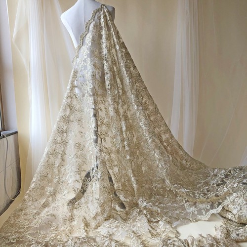 Corded gold lace fabric - ,