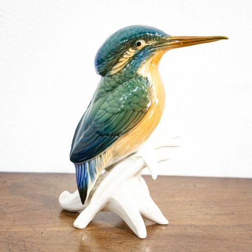 Stunning karl ens kingfisher - ens,