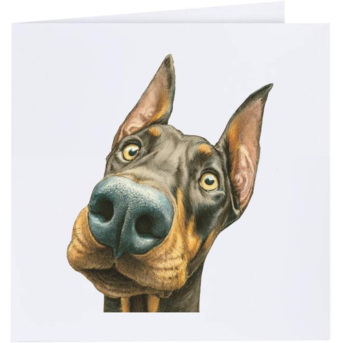 Doberman dog portrait - dog, portrait'