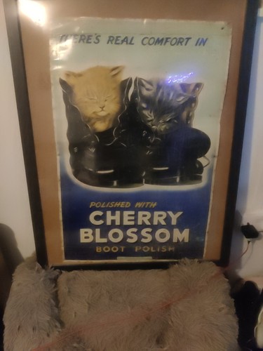 Old tin cherry - a,