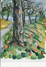 Walking trees wood path river