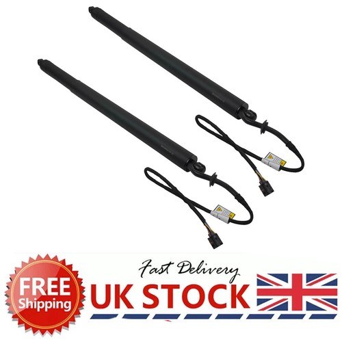 Electric tailgate struts - 2x,