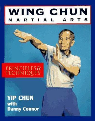 Wing chun martial arts - wing,