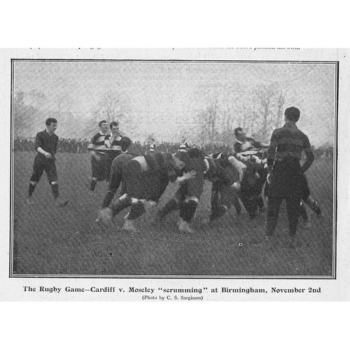 Rugby union moseley cardiff - v,