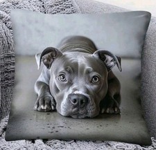1 X Beautiful Staffie Dog Cushion Covers Staffordshire Bull Terrier Staffy