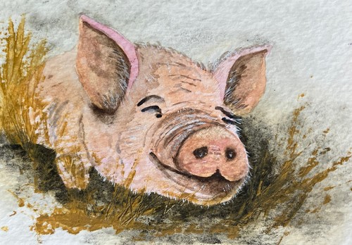 Original watercolour pig - original,