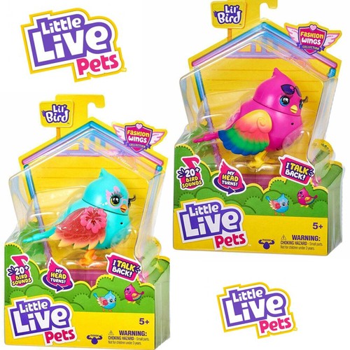 Little live pets - pets, bird