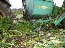 Photo 6x4 Harvesting Fodder