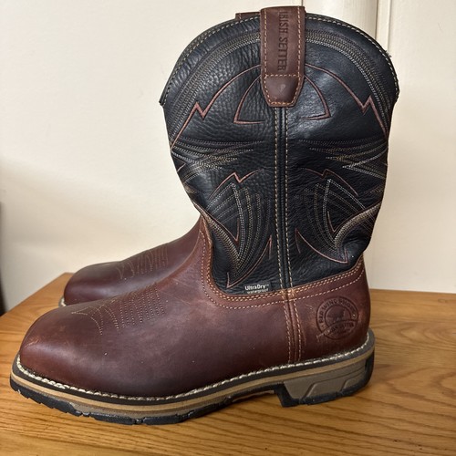 Irish setter marshall 83938 - setter,