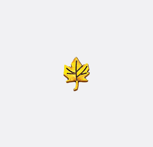 Monzoro gold maple - maple, leaf