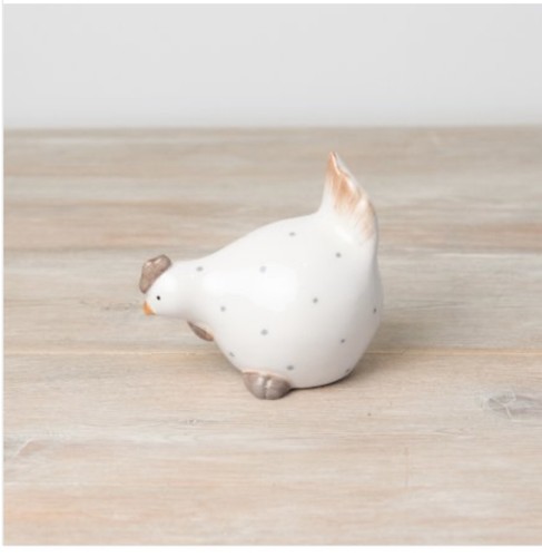 Hen bird chicken dotty - bird,