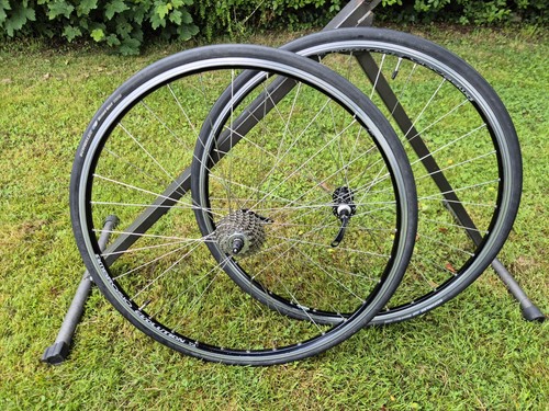Ambrosio evolution speed 12 - ambrosio,