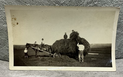 1935 photo lithuania hay - 1935,