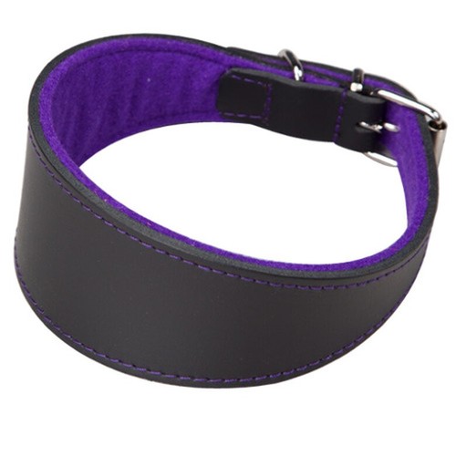 Black purple leather whippet - leather,