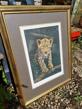 Limited Ed Print Steven