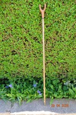 Hazel walking stick with