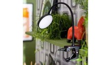Habitat mopsa clip - mopsa, lamp