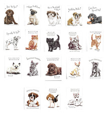 Cat or Dog Birthday Cards