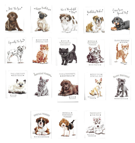 Cat dog birthday - or,