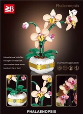 Phalaenopsis Orchid Botanical