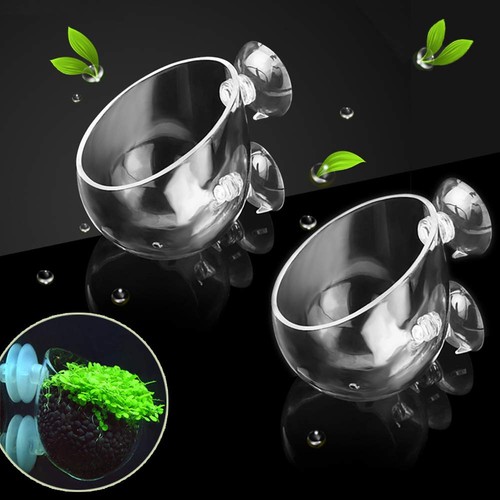 Crystal glass aquatic - crystal,