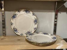 Royal Albert MOONLIGHT ROSE