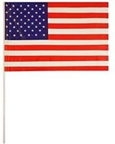 American handheld flag - american,