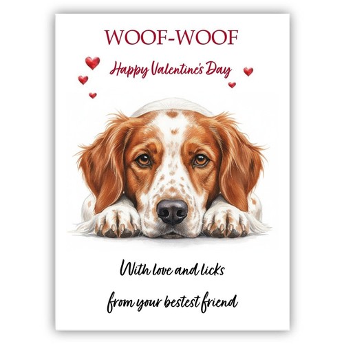 Brittany spaniel dog - brittany,