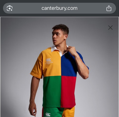 Adult unisex harlequin block - adult,