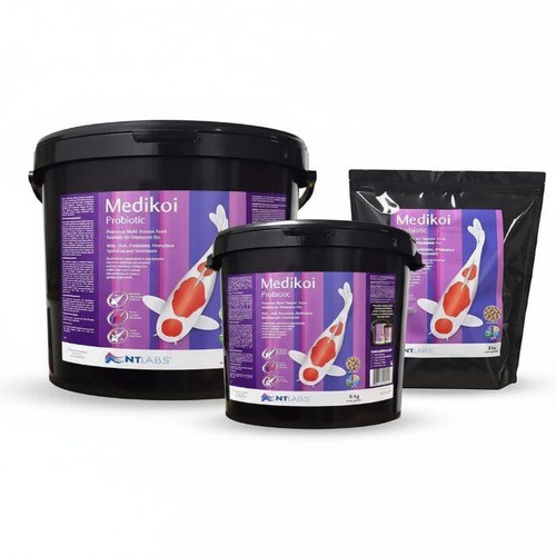 Labs medikoi probiotic - medikoi,