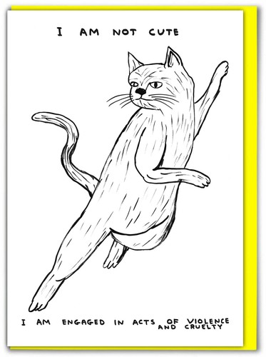 David shrigley birthday card - david,