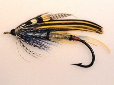 Vintage Gut Eye Fly - Bulldog