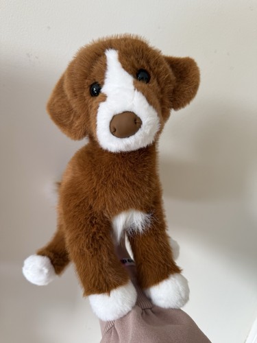 Douglas duck tolling retriever - douglas,