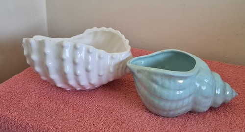 Pair ceramic shell - of,