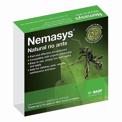 Ant nematodes nests covers - ant, 16