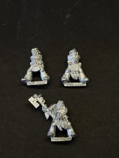 Warhammer Oop Space Wolf