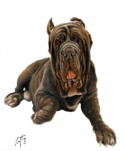 Original oil portrait - ✤,