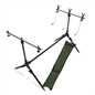 Carp fishing session rod - carp,