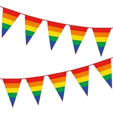 Gay Pride Rainbow Stripe 10