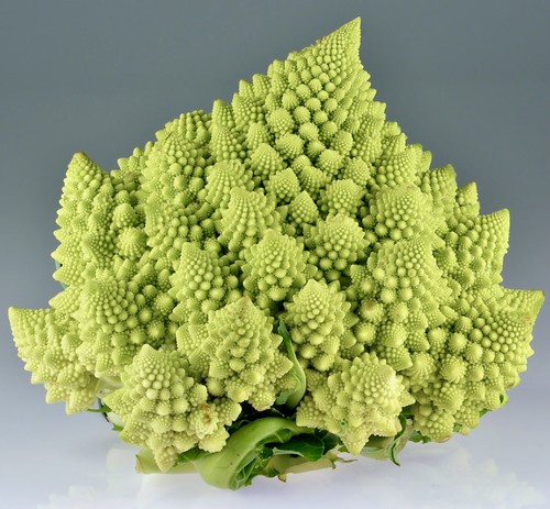 Romanesco cauliflower cabbage - cauliflower,