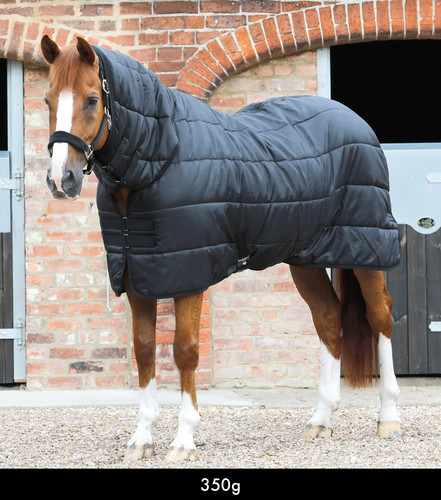 Premier equine 350g - equine, combo