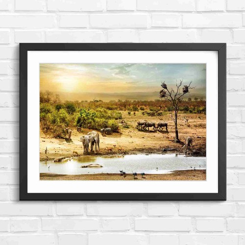 African wildlife animals - wildlife,