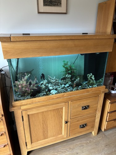 3ft solid oak fish tank - solid,