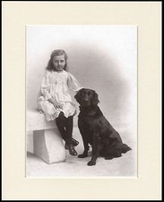 FLAT COATED RETRIEVER AND